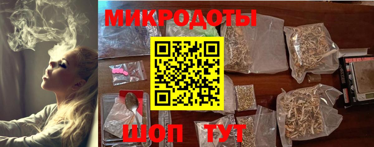 Галлюциногенные грибы Psilocybine cubensis Дмитров